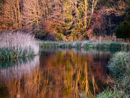 Winter Walk Longstock Park