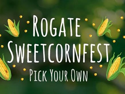 Rogate Sweetcornfest
