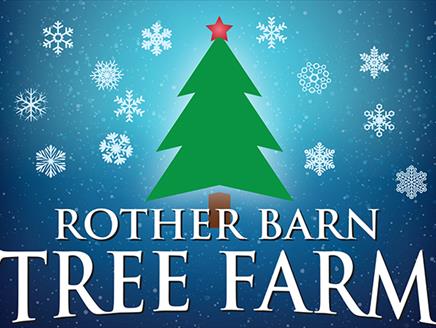 Rother Barn Tree Farm