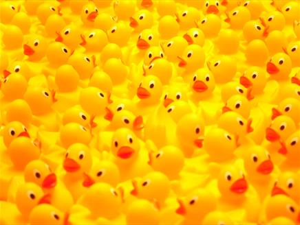 The Great Overton Duck Race