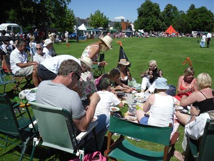 Alton Victorian Cricket Charity Match