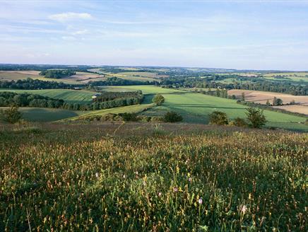 The South Downs Way