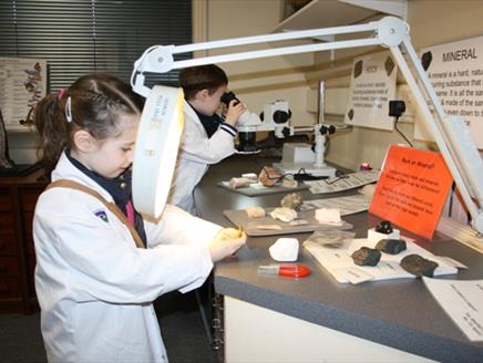 Be A Scientist at SEARCH