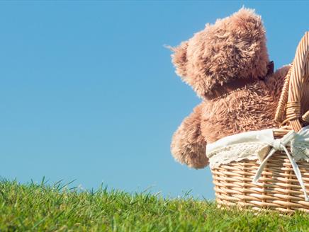 Teddy bear's picnic on the Meadow at Solent Hotel & Spa