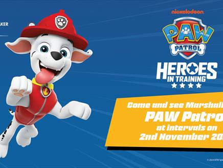 Meet & Greet Paw Patrol Marshall at Spinnaker Tower
