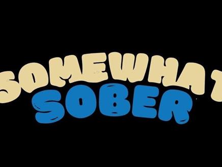 Somewhat Sober logo