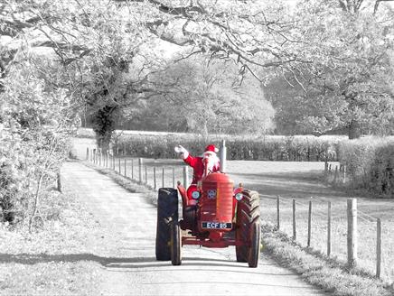 Miller's Ark Farm Open Weekend