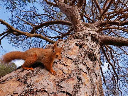 The British Wildlife Photography Awards at St Barbe Museum and Art Gallery