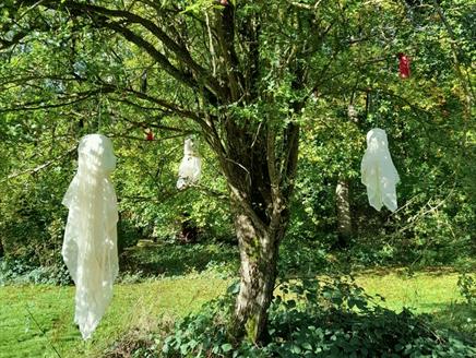 Ghost trail
