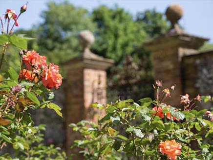 Regency Week Garden Tour at Chawton House