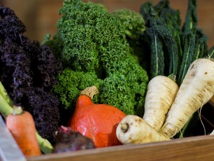 Seasonal Cooking: Autumn with Steven Edwards