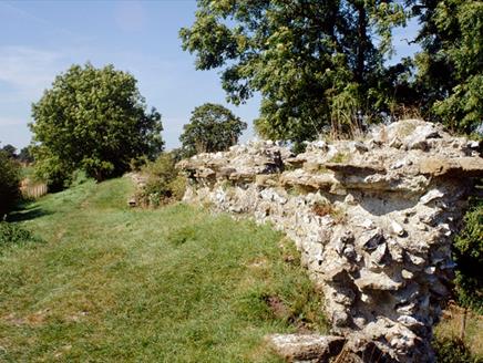 Around Silchester Walk