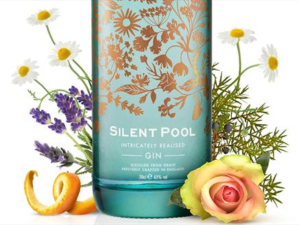 Silent Pool: Intricately Distilled Gin Talk at Fleet Library