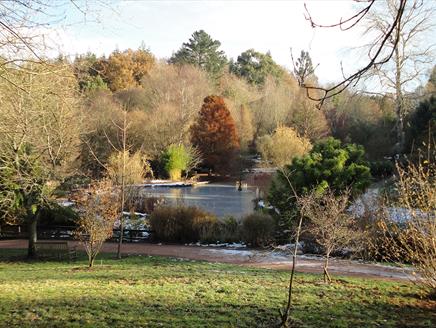 Family Christmas Trail at Sir Harold Hillier Gardens