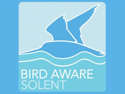 Be Bird Aware at the Beach Clean at Eling Tide Mill Experience