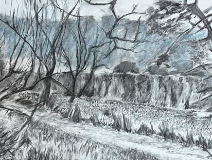 Exhibition: Sophie Hacker