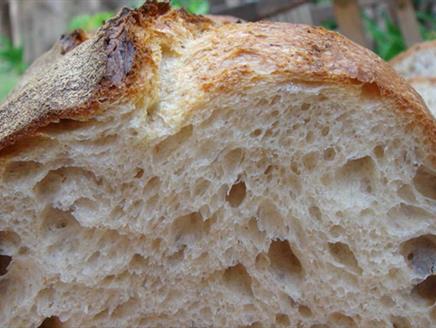 Sourdough Bread Making Masterclass at Minstead Study Centre