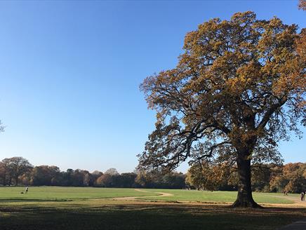 Southampton Common