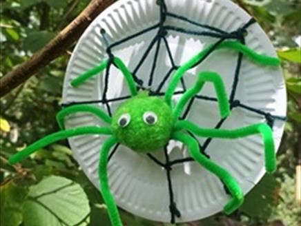 Spider craft in Web