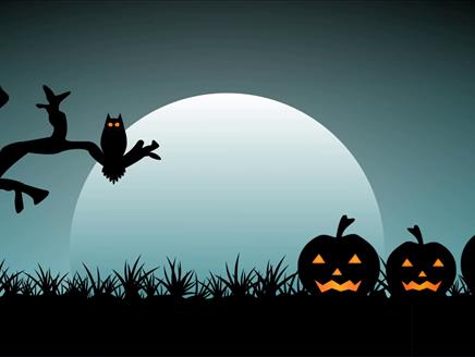 Spooky Animation Workshop for Ages 5-7 at The Lights Theatre