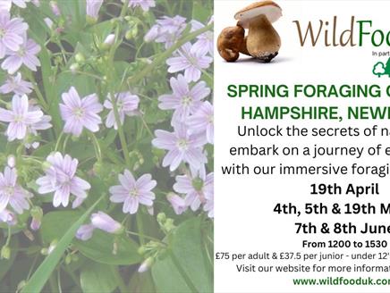 Foraging with Wild Food UK at Red Shoot Inn
