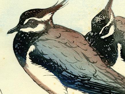 Platt and Seaby Woodblock Prints at St Barbe Museum