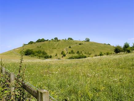 St Catherine's Hill Nature Reserve near Winchester