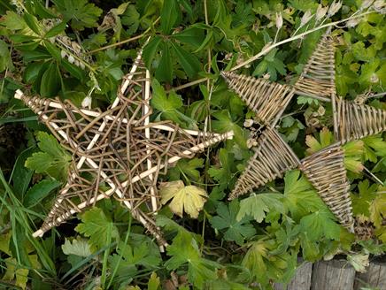 Picture of Festive Willow Stars