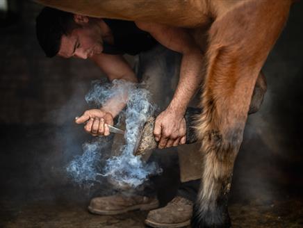 UNCOMMONERS: Portraits of Life in the New Forest at St Barbe Museum and Art Gallery
