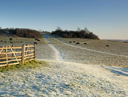 Stockbridge Down in winter - Simon Newman