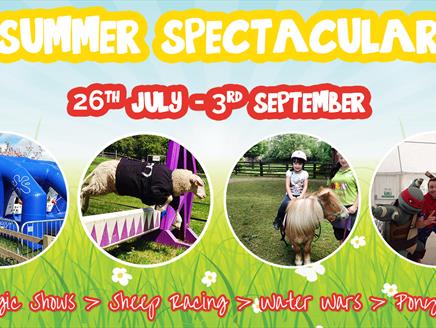 Summer Spectacular at Finkley Down Farm