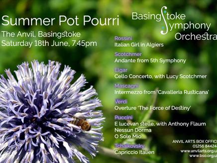 Basingstoke Symphony Orchestra