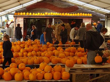 Pumpkin Festival at Sunnyfields Farm