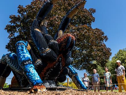SUPERSIZED! Brick Adventure at Marwell Zoo
