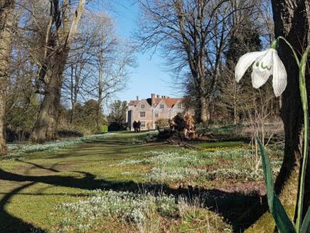 Snowdrops Unveiled: A Guided Talk and Walk at Chawton House