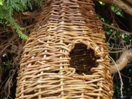 Willow bird-feeder workshop