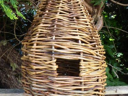 Create a Willow Birdhouse at Queen Elizabeth Country Park