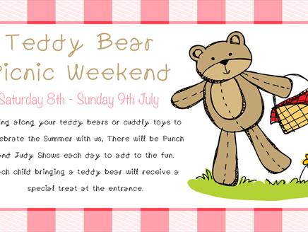 Teddy Bear Picnic at Finkley Down Farm