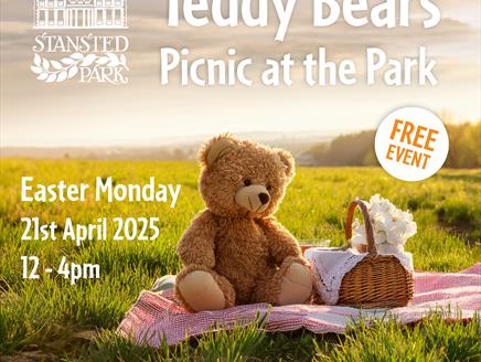 Teddy Bears Picnic