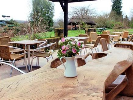 Celebrate Mother's Day at Furzey Gardens