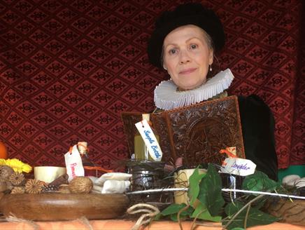 Meet the Tudors: The Wise Woman at The Mary Rose