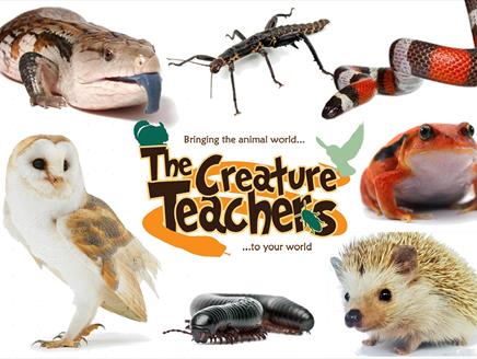 Visit The Creature Teachers at Sky Park Farm