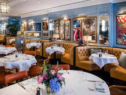 The Ivy Winchester