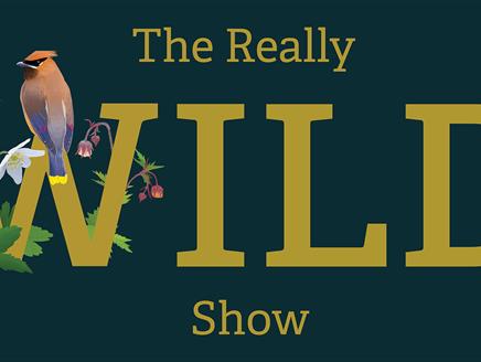 The Really Wild Show at Nuffield Southampton Theatres Campus