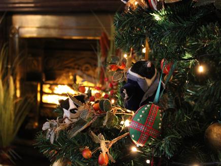 The Wind in The Willows Christmas at Hinton Ampner