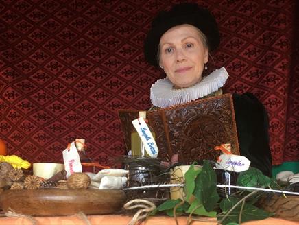 The Wise Woman and her array of remedies at The Mary Rose museum