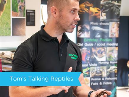 Tom's Talking Reptiles at Sky Park Farm