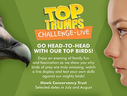 Top Trumps Challenge LIVE! at Hawk Conservancy Trust