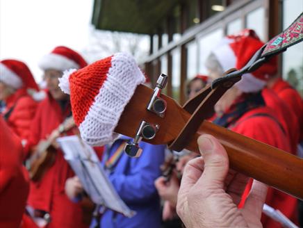 Artful Christmas Weekend at Sir Harold Hillier Gardens