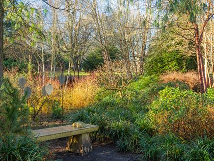 Mottisfont Family Walk